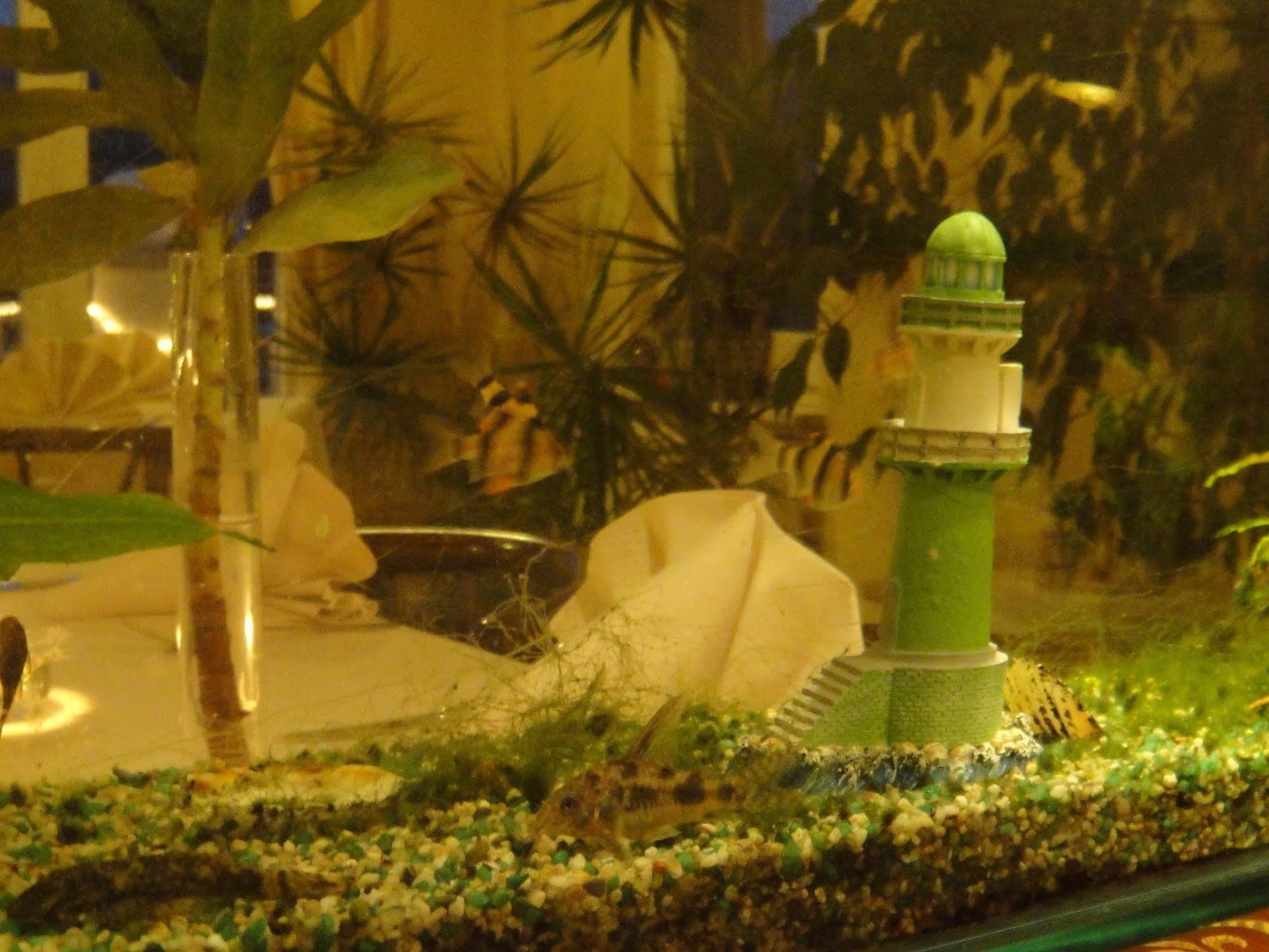 Belvedere Hotel Rostock